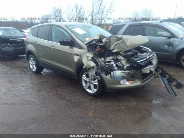 FORD ESCAPE 2013 1fmcu0gx3dud50916