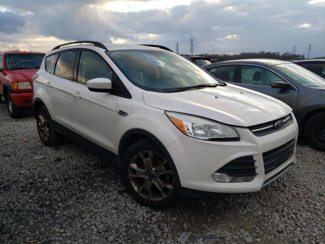 FORD ESCAPE SE 2014 1fmcu0gx3eua61083