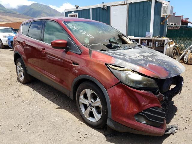 FORD ESCAPE SE 2014 1fmcu0gx3eua63576