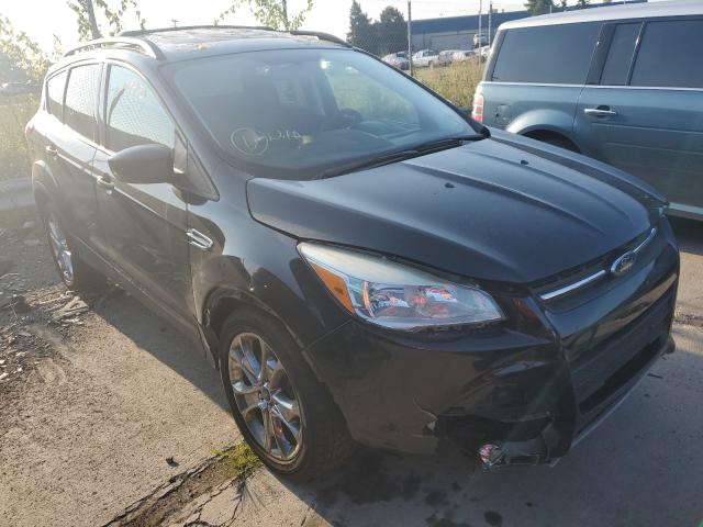 FORD ESCAPE SE 2014 1fmcu0gx3eub42164