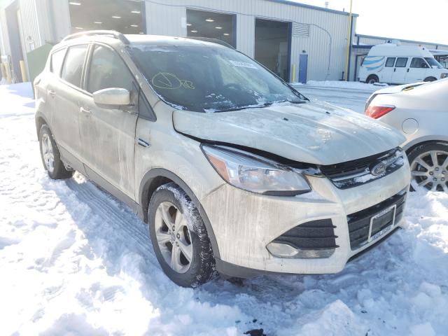 FORD ESCAPE SE 2014 1fmcu0gx3eub79795