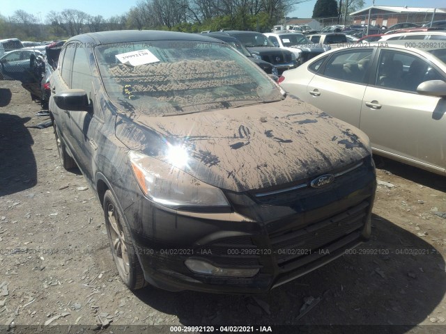 FORD ESCAPE 2014 1fmcu0gx3eub84592