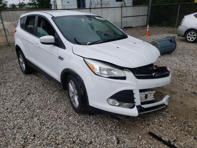 FORD ESCAPE SE 2014 1fmcu0gx3euc93604