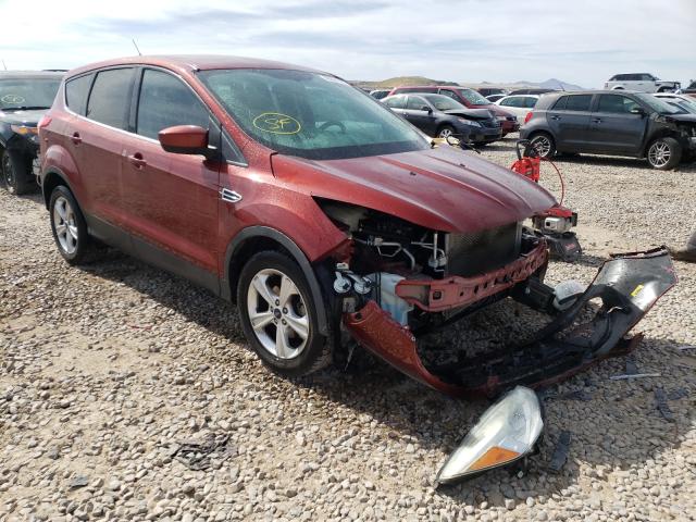 FORD ESCAPE SE 2014 1fmcu0gx3eud09218