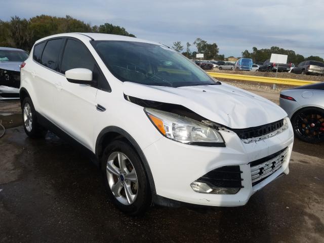 FORD ESCAPE SE 2014 1fmcu0gx3eue07309