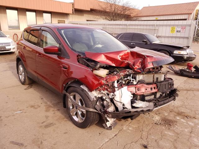 FORD ESCAPE SE 2014 1fmcu0gx3eue08878