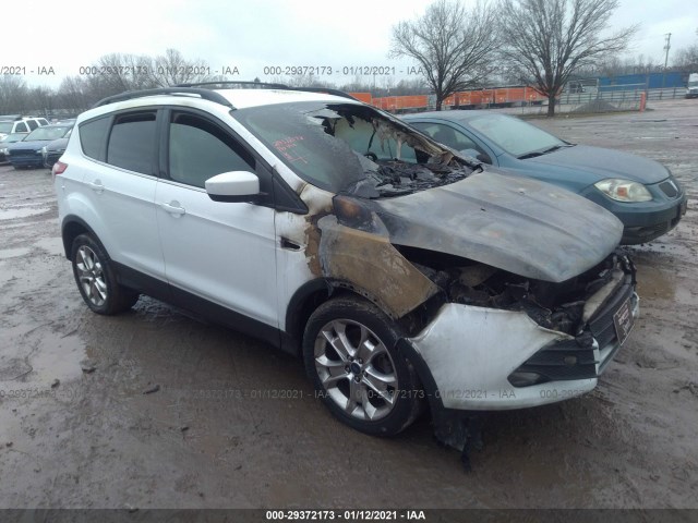 FORD ESCAPE 2013 1fmcu0gx4dua16104