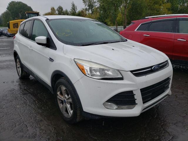 FORD ESCAPE SE 2013 1fmcu0gx4dua74391