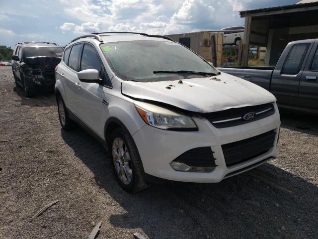 FORD ESCAPE SE 2013 1fmcu0gx4dua76979