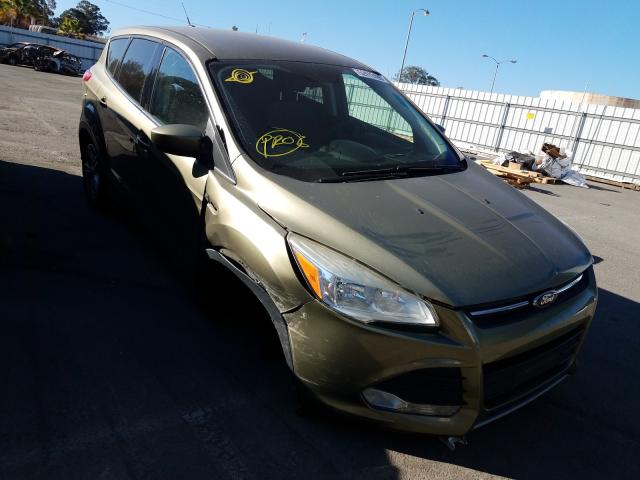 FORD ESCAPE SE 2013 1fmcu0gx4dub24951