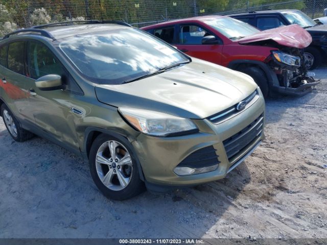 FORD ESCAPE 2013 1fmcu0gx4dud63805