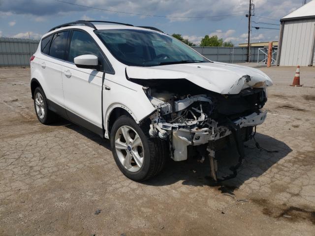 FORD ESCAPE SE 2013 1fmcu0gx4dud79485