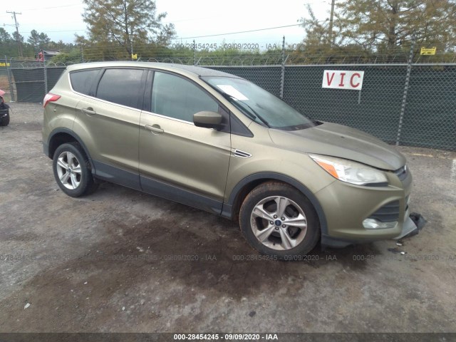 FORD ESCAPE 2013 1fmcu0gx4dud87697