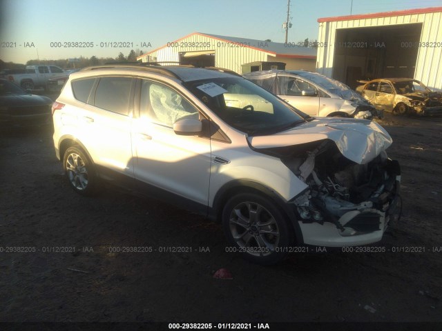 FORD ESCAPE 2014 1fmcu0gx4eua10692