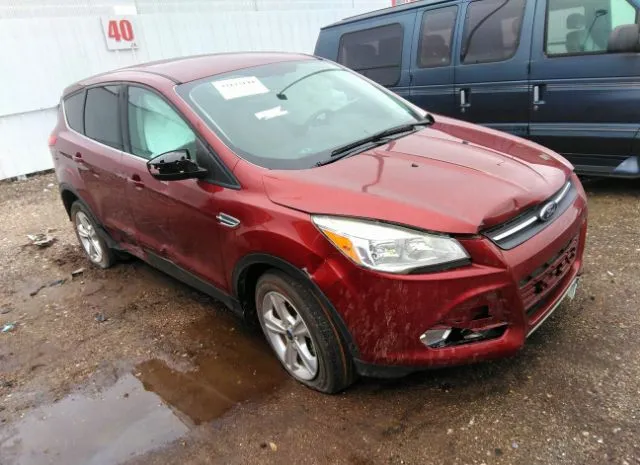 FORD ESCAPE 2014 1fmcu0gx4eua21627