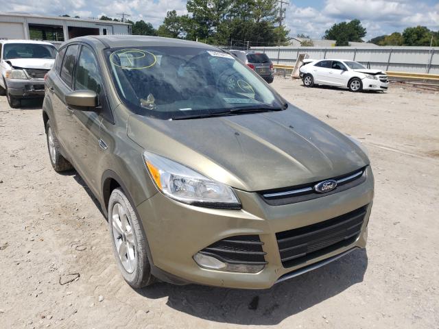 FORD ESCAPE SE 2014 1fmcu0gx4eua51713