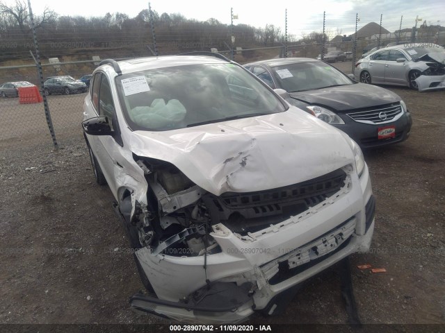 FORD ESCAPE 2014 1fmcu0gx4eub14759