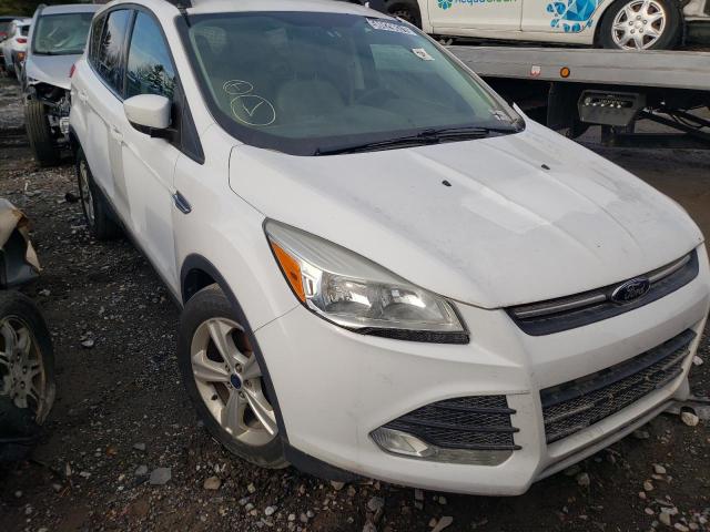 FORD ESCAPE SE 2014 1fmcu0gx4eub66571