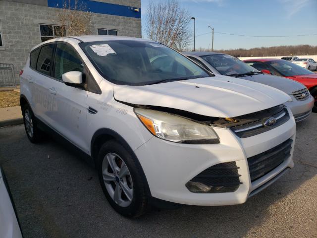 FORD ESCAPE 2014 1fmcu0gx4euc02789