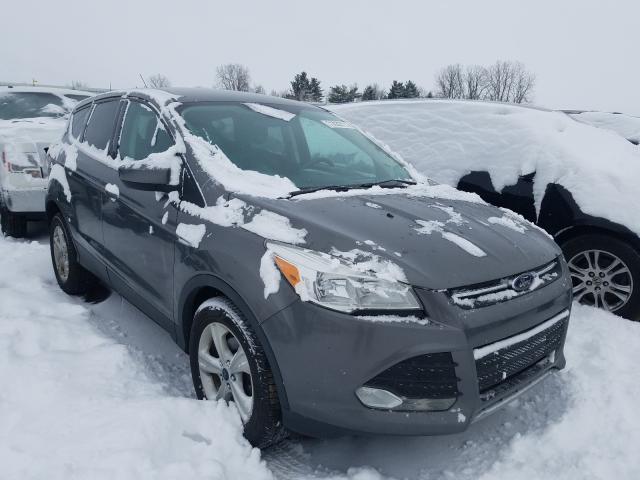 FORD ESCAPE SE 2014 1fmcu0gx4euc20516