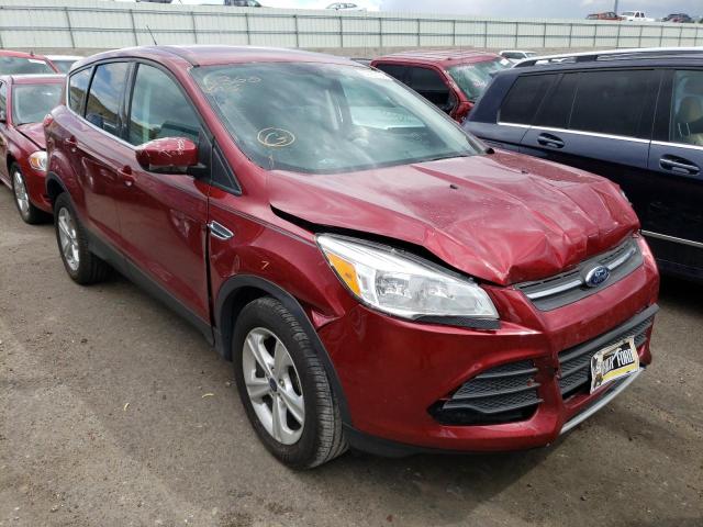 FORD ESCAPE SE 2014 1fmcu0gx4euc45013