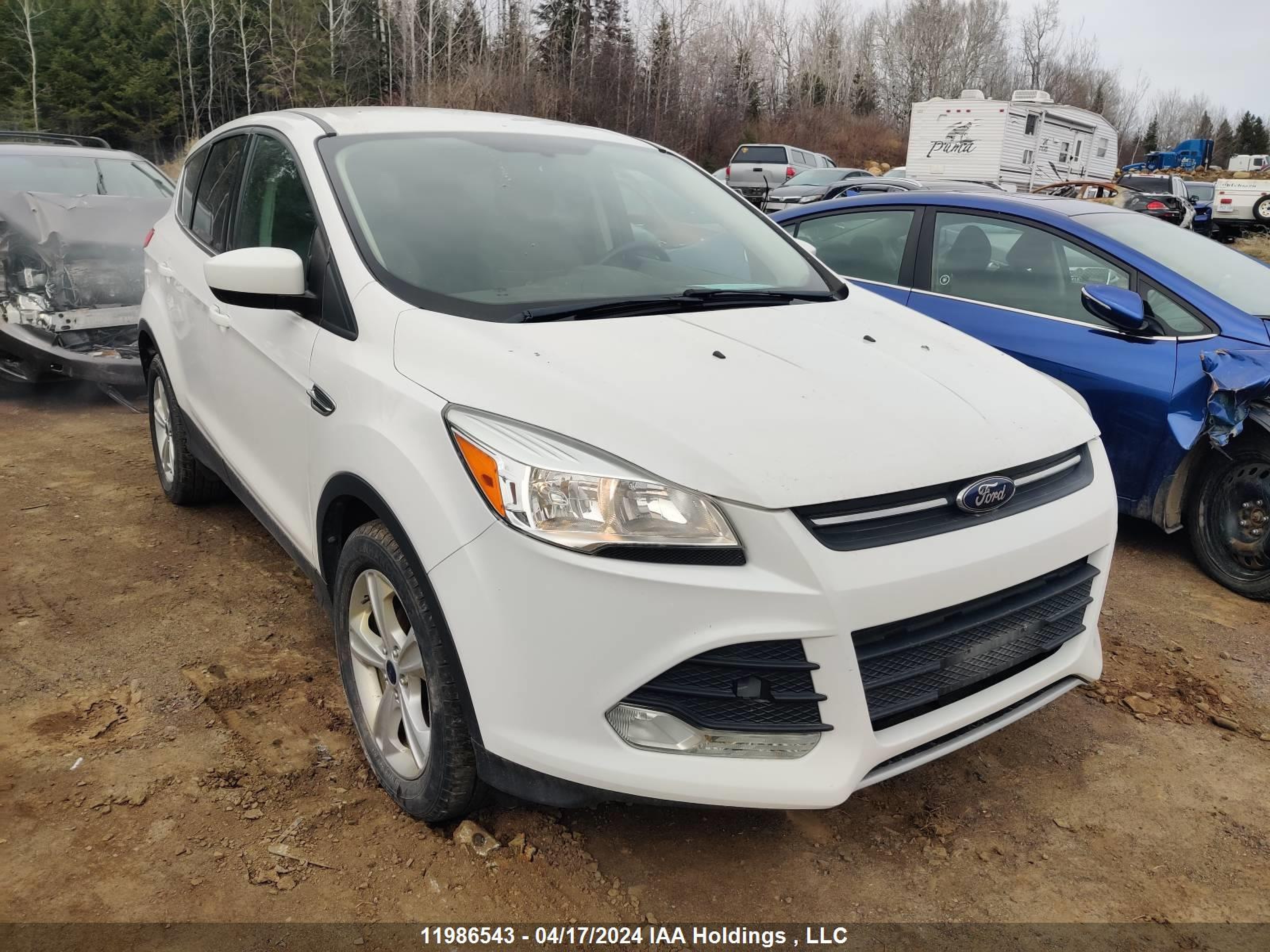 FORD ESCAPE 2014 1fmcu0gx4euc70848