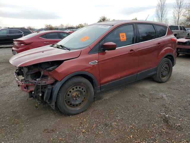 FORD ESCAPE 2014 1fmcu0gx4euc79646