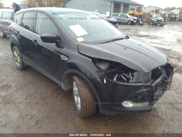 FORD ESCAPE 2014 1fmcu0gx4euc82529