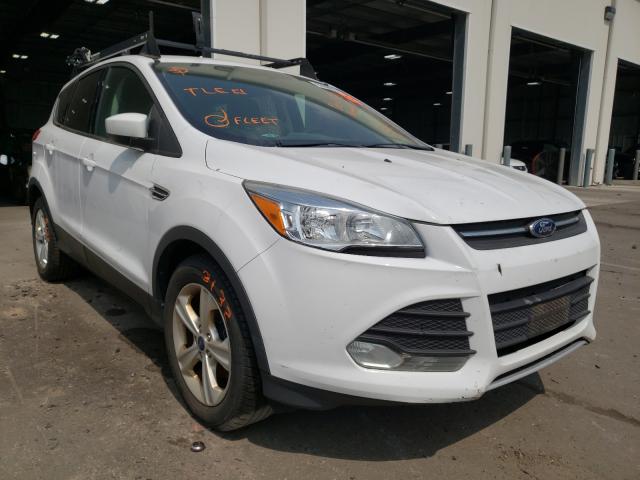 FORD ESCAPE SE 2014 1fmcu0gx4eud09843