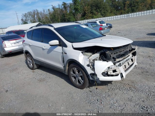 FORD ESCAPE 2014 1fmcu0gx4eud14167