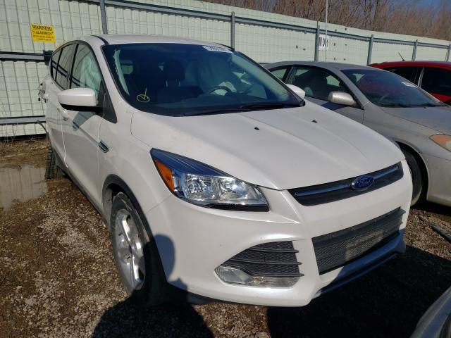 FORD ESCAPE SE 2014 1fmcu0gx4eud86499