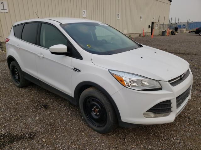 FORD ESCAPE SE 2014 1fmcu0gx4eue02135