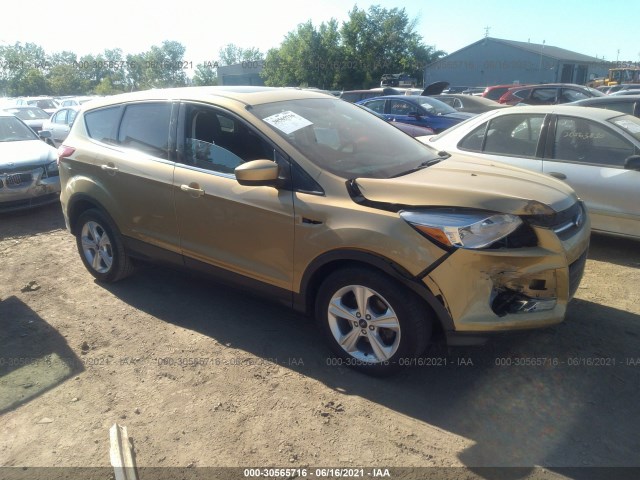 FORD ESCAPE 2015 1fmcu0gx4fub01589