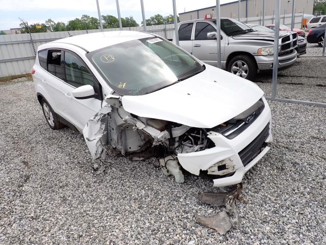 FORD ESCAPE SE 2013 1fmcu0gx5dua40895