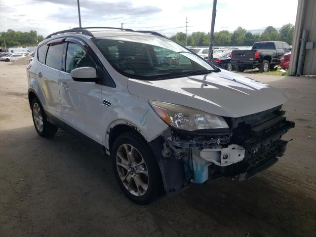 FORD ESCAPE SE 2013 1fmcu0gx5dub82258