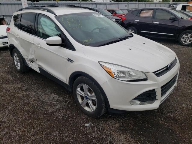 FORD ESCAPE SE 2014 1fmcu0gx5eua55396