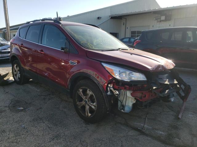 FORD ESCAPE 2014 1fmcu0gx5eub05553