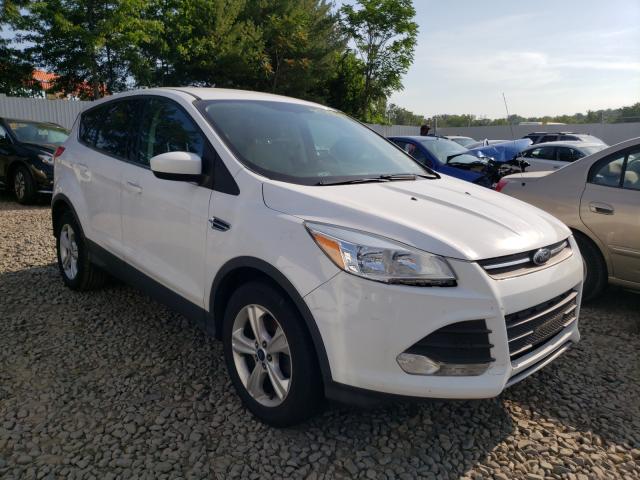 FORD ESCAPE SE 2014 1fmcu0gx5eub21784