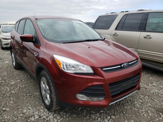 FORD ESCAPE SE 2014 1fmcu0gx5euc00646