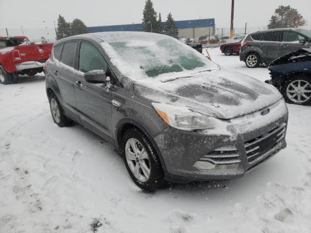 FORD ESCAPE SE 2014 1fmcu0gx5euc09444