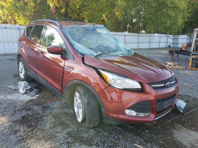 FORD ESCAPE SE 2014 1fmcu0gx5eud20043