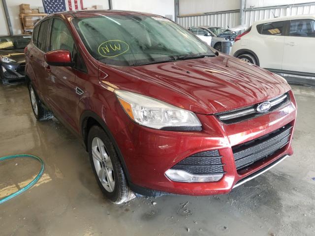 FORD ESCAPE SE 2014 1fmcu0gx5eud87032