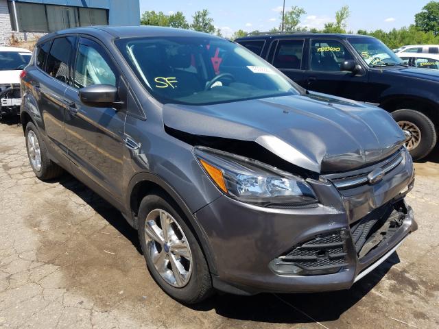 FORD ESCAPE SE 2014 1fmcu0gx5eue43244