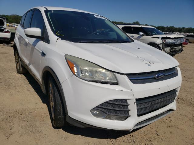 FORD ESCAPE SE 2013 1fmcu0gx6duc04381