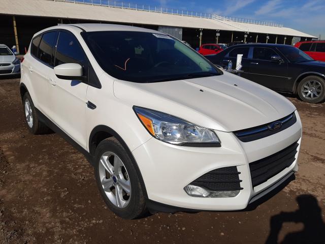 FORD ESCAPE SE 2014 1fmcu0gx6eua53303