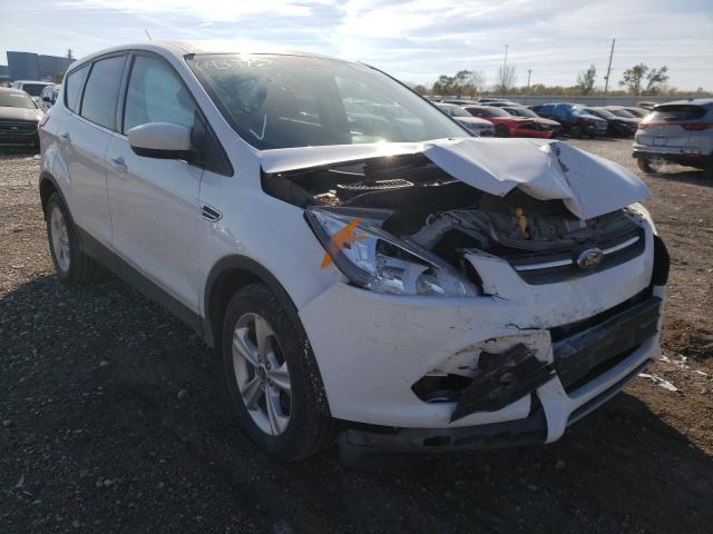 FORD ESCAPE SE 2014 1fmcu0gx6eub01446