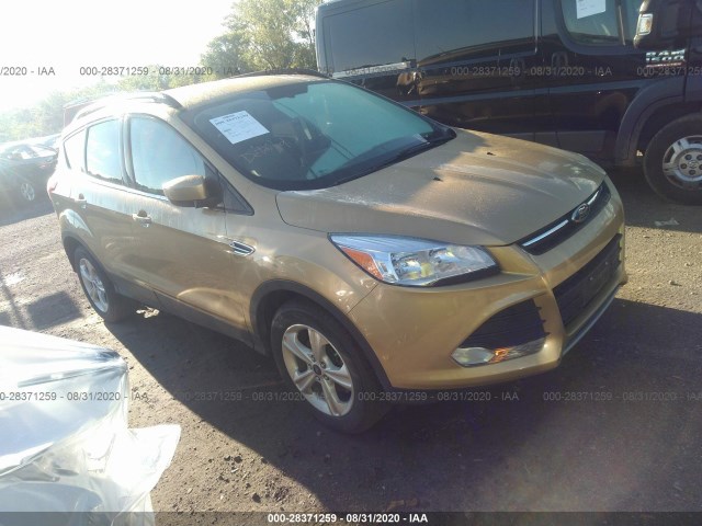 FORD ESCAPE 2014 1fmcu0gx6eub95313