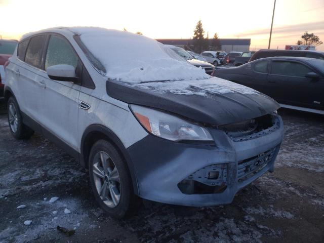 FORD ESCAPE SE 2014 1fmcu0gx6euc46115