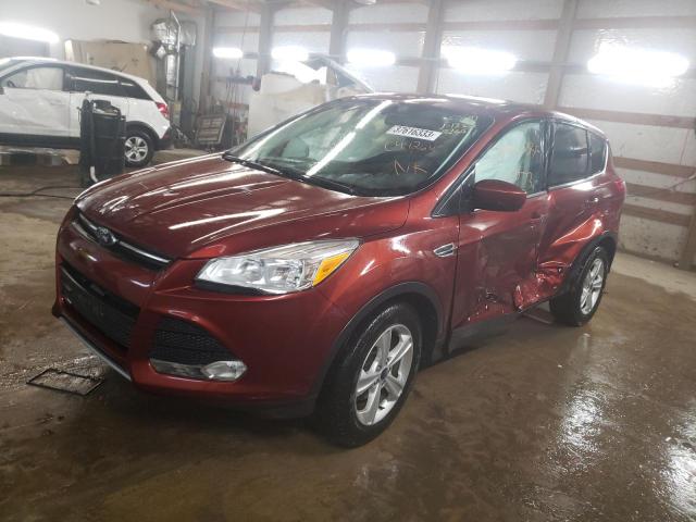 FORD ESCAPE SE 2014 1fmcu0gx6euc99266