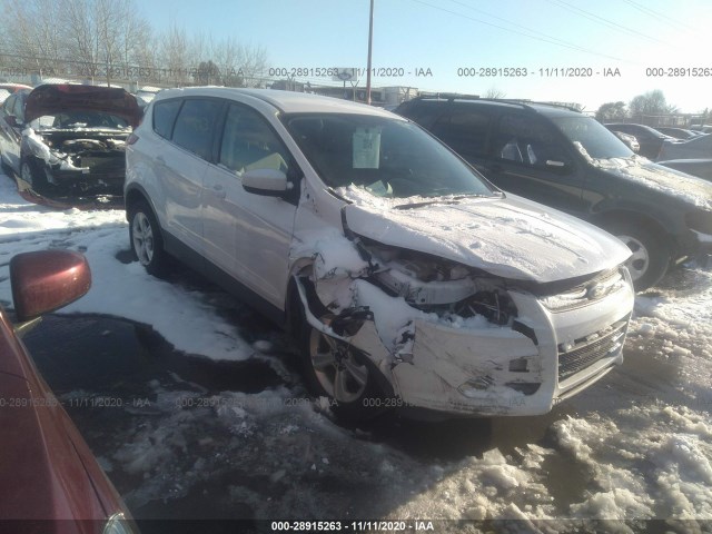 FORD ESCAPE 2014 1fmcu0gx6eud09844